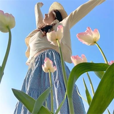 青春紫罗兰